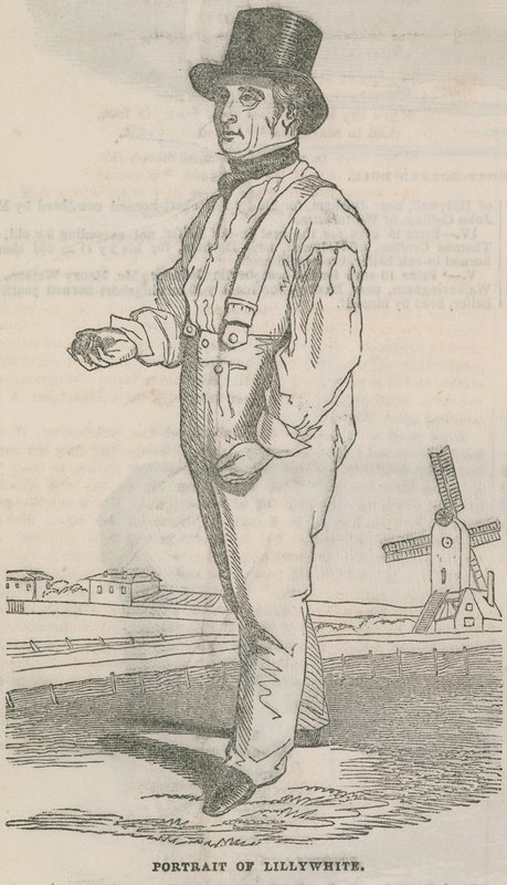 Portrait of Lillywhite by English School