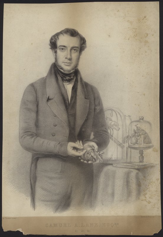 Portrait of Samuel Armstrong Lane by English School