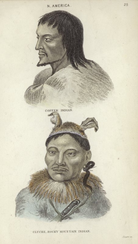 Portraits of a Copper Indian and a Rocky Mountain Indian by English School