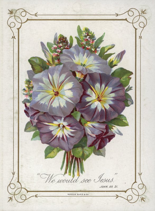 Posy of Flowers by English School