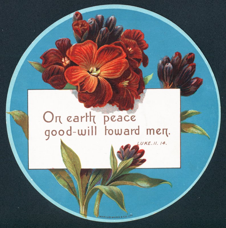 Primroses, Christmas Card by English School