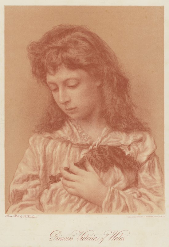 Princess Victoria of Wales by English School