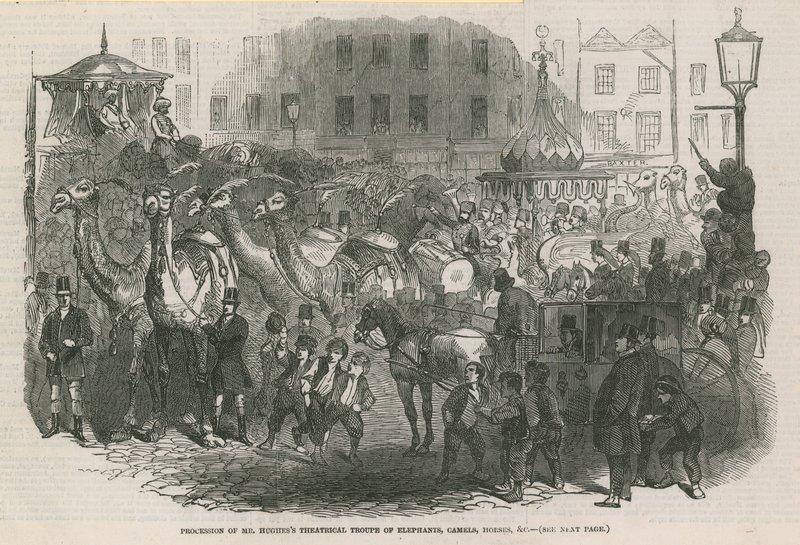 Procession of Mr Hughess theatrical troupe of elephants, camels, horses, etc. by English School