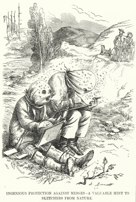 Ingenious Protection Against Midges - A Valuable Hint to Sketchers from Nature by English School