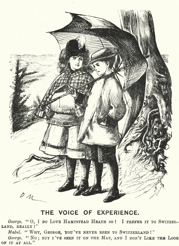 Punch cartoon: The Voice of Experience by English School