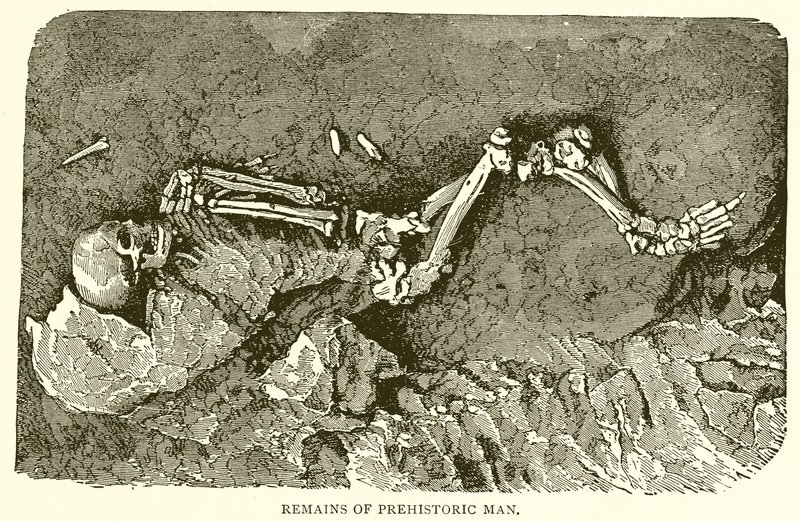 Remains of Prehistoric Man by English School