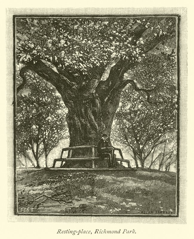 Resting-place, Richmond Park by English School