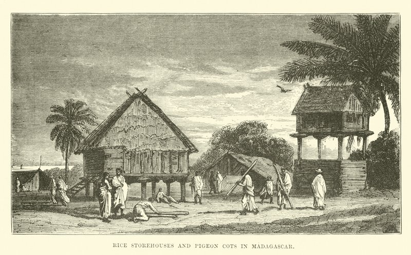 Rice Storehouses and Pigeon Cots in Madagascar by English School
