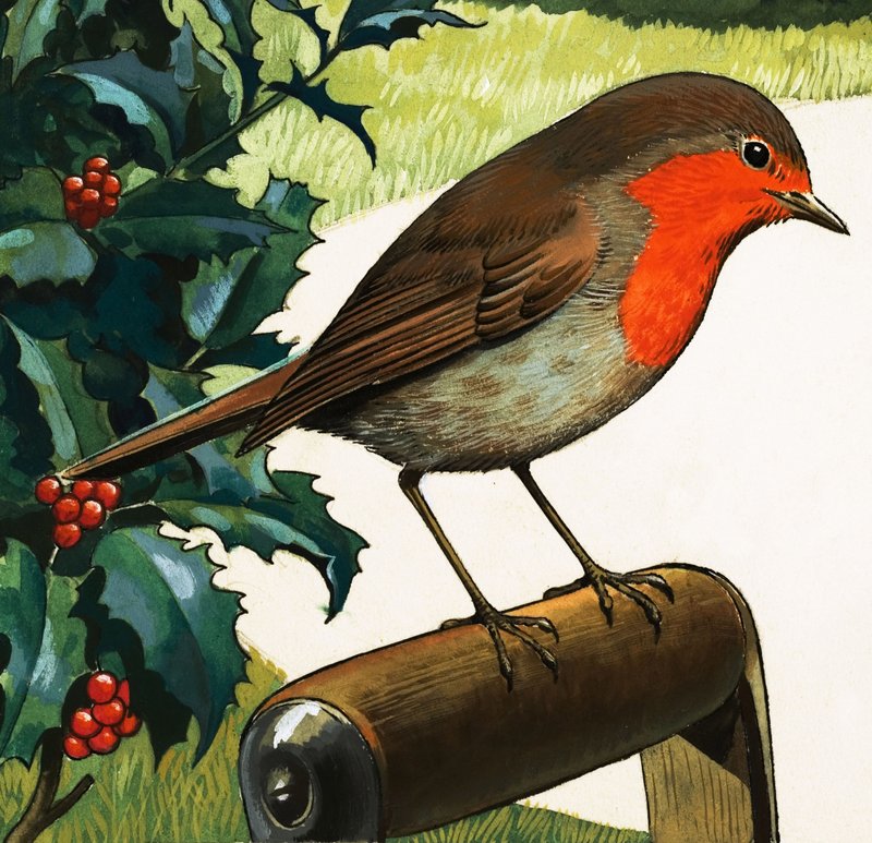 Robin Redbreast by English School