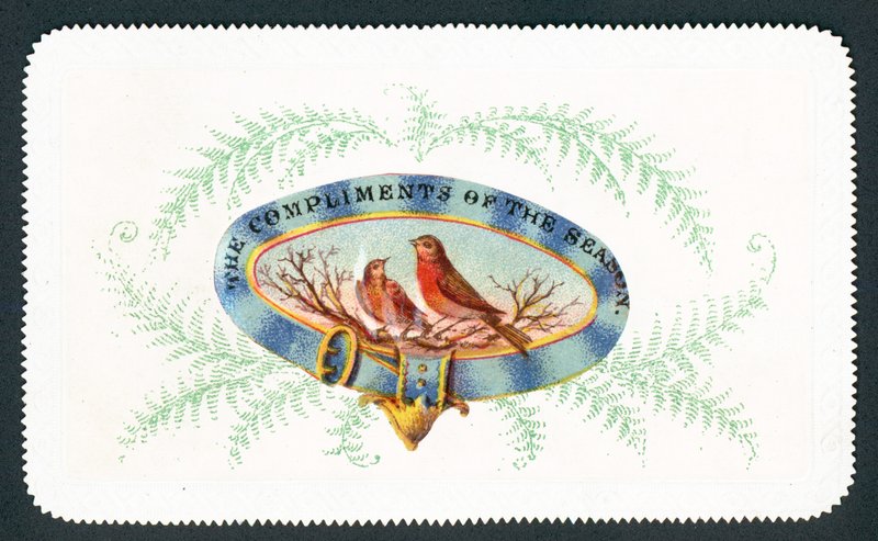 Robins sitting in oval with fern surround by English School