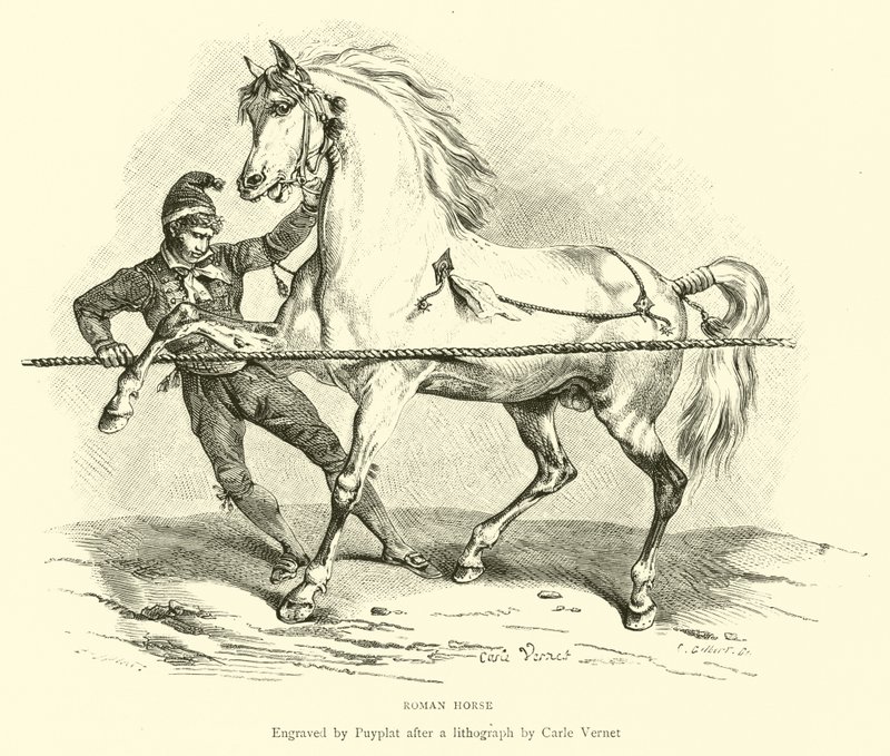 Roman Horse by English School