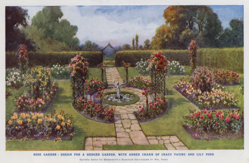 Rose garden, design for a hedged garden, with added charm of crazy paving and lily pond by English School