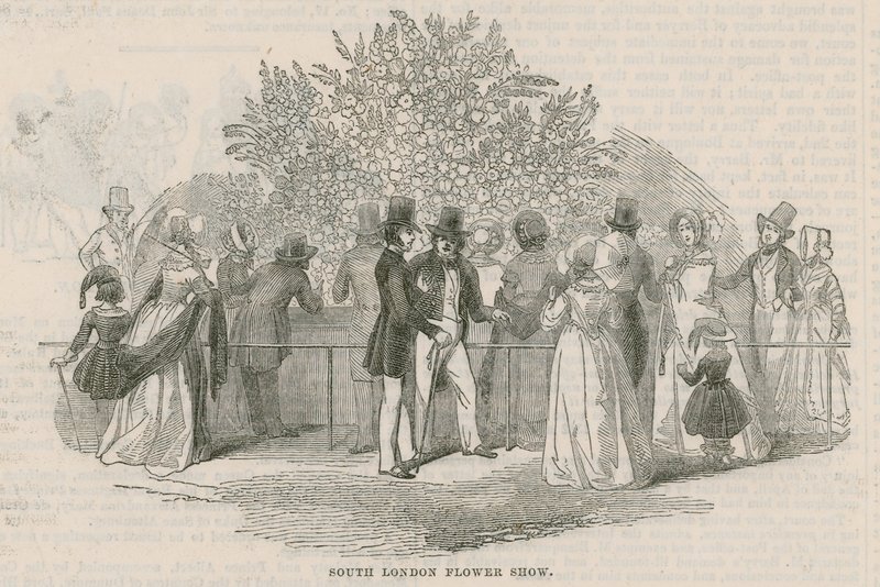 Royal South London Horticultural Society by English School