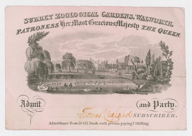 Royal Surrey Zoological Gardens, Entrance Ticket by English School