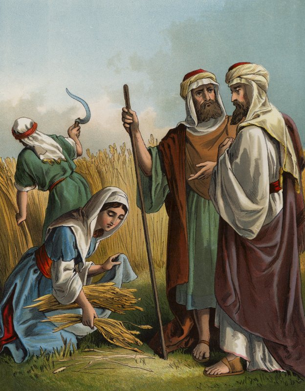 Ruth gleaning in the field of Boaz by English School