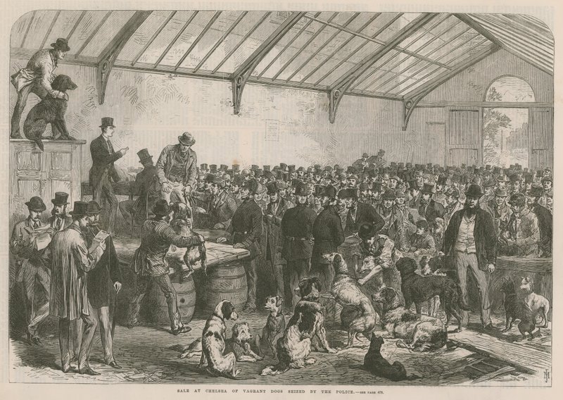 Sale at Chelsea of Vagrant Dogs Seized by the Police by English School