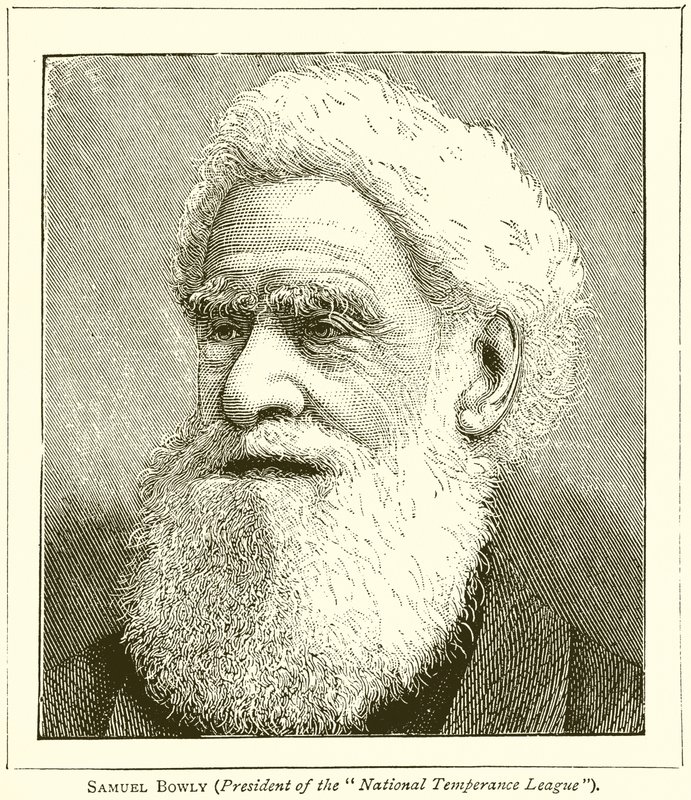 Samuel Bowly (President of the National Temperance League) by English School