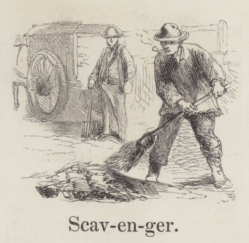 Scavenger by English School