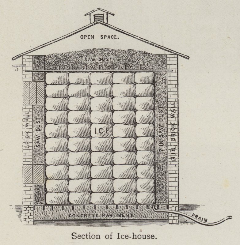 Section of Ice-house by English School