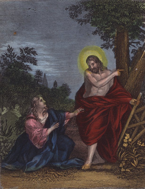 She, Joseph