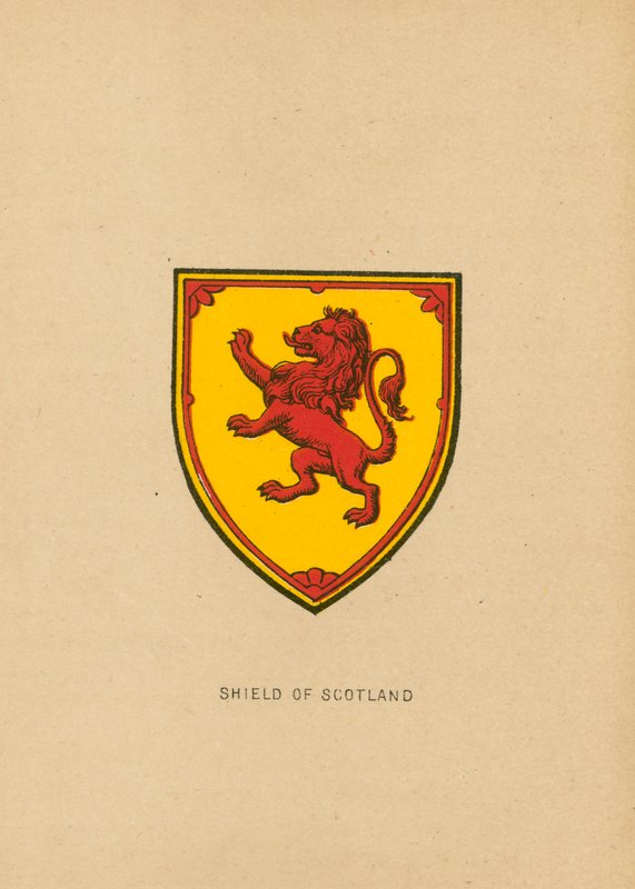 Shield of Scotland by English School