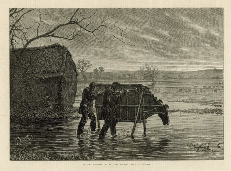 Shooting Wildfowl on the Upper Thames: The Stalking Horse by English School