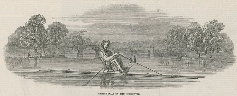Siamese Boat on the Serpentine, Hyde Park, London by English School