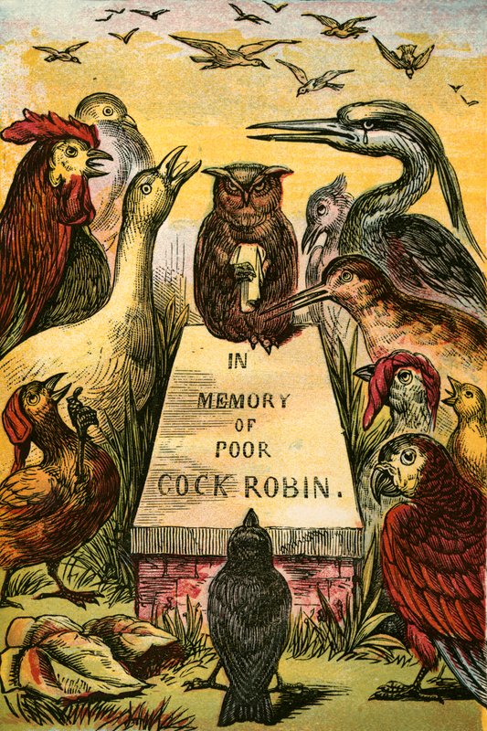 Sighing and Sobbing for Poor Cock Robin by English School
