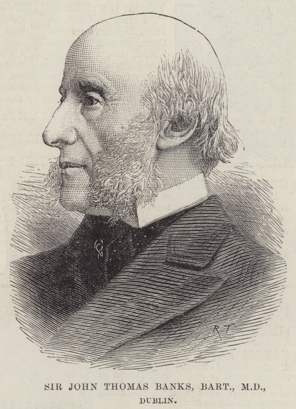 Sir John Thomas Banks, Baronet, MD, Dublin by English School