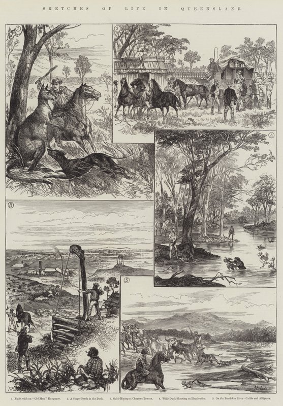 Sketches of Life in Queensland by English School