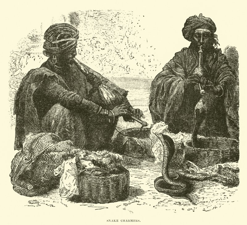 Snake Charmers by English School