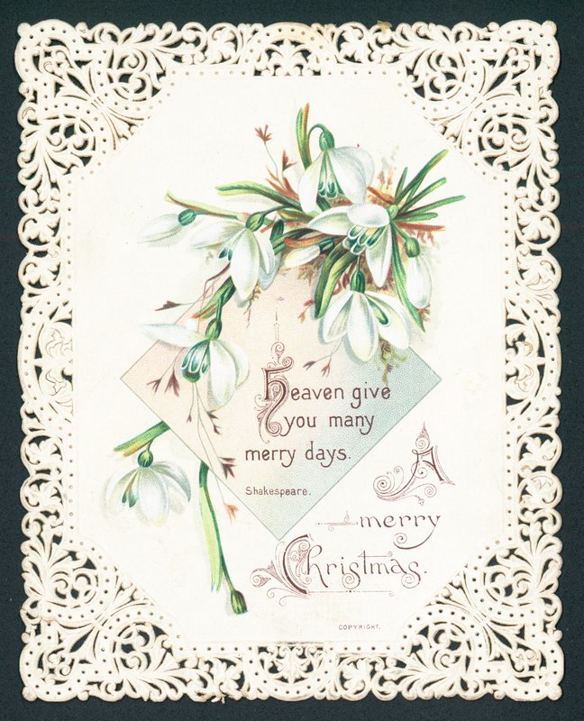 Snowdrops by English School