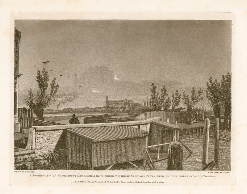 South View of Westminster from Millbank Where the King