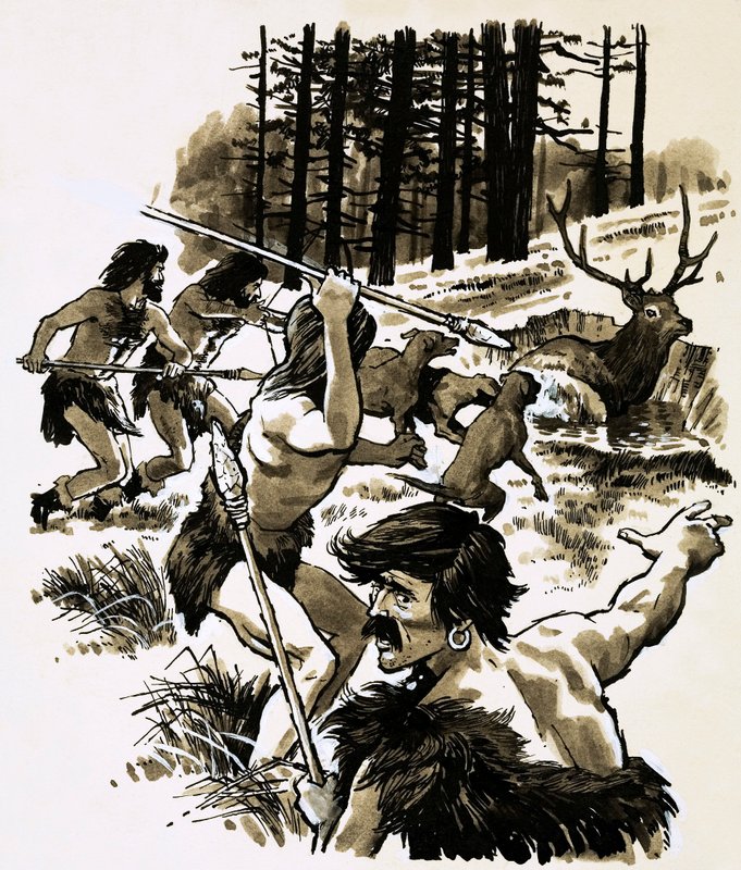 Stone-Age Hunters by English School