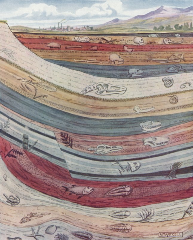 Strata of the Earth