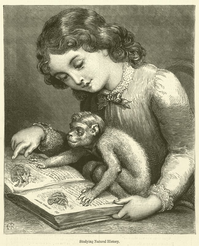 Studying Natural History by English School