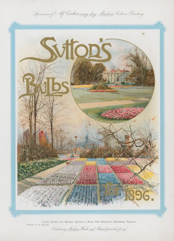 Suttons Bulbs for 1896 by English School