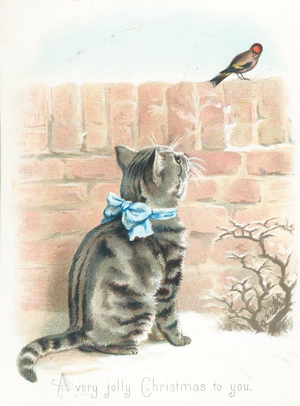 Tabby Cat Watching Finch on Wall by English School