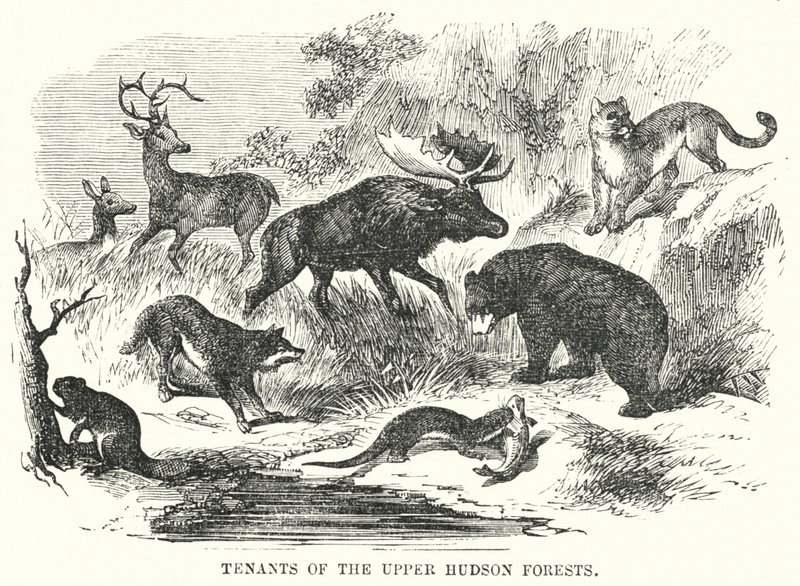 Tenants of the Upper Hudson Forests by English School
