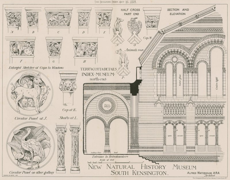 Terracotta details from the new Natural History Museum, South Kensington by English School