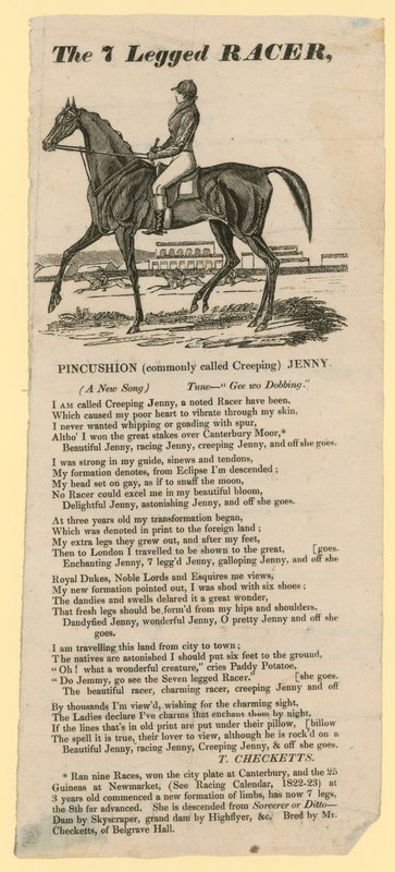 The 7 Legged Racer by English School