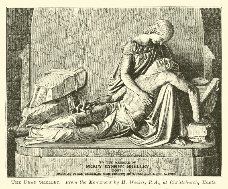 The Dead Shelley by English School