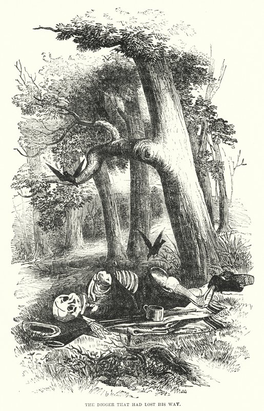 The Digger that had lost his Way by English School