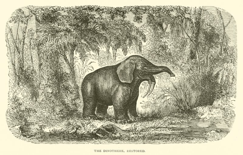 The Dinothere, Restored by English School