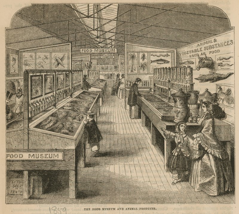 The Food Museum and Animal Products, South Kensington Museum by English School