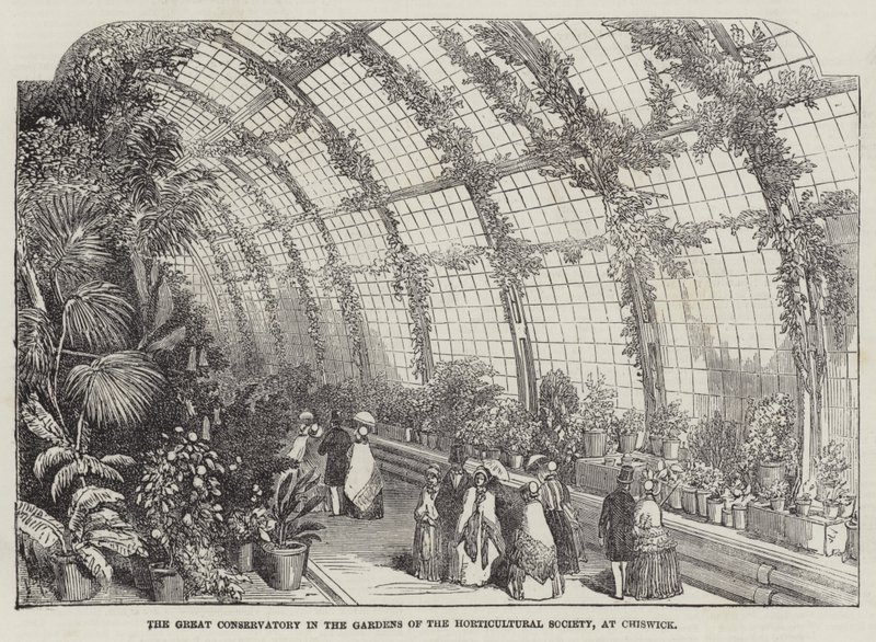 The Great Conservatory in the Gardens of the Horticultural Society, at Chiswick by English School