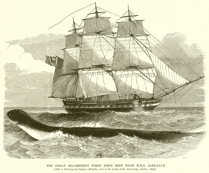 The Great Sea-Serpent when First Seen from H.M.S. Daedalus by English School