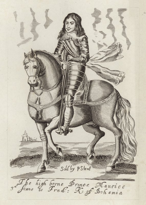 The High Borne Prince Maurice by English School