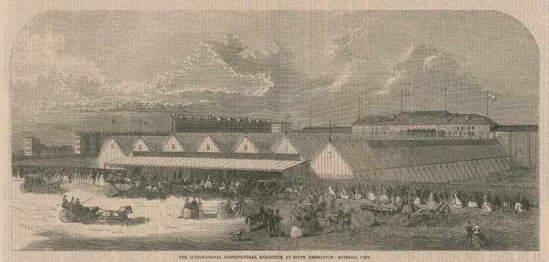 The International Horticultural Exhibition at South Kensington by English School