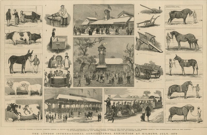 The London International Agricultural Exhibition at Kilburn, July 1879 by English School